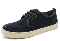 Blucher