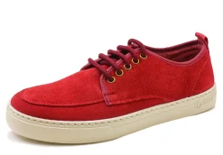 Blucher