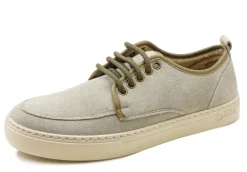 Blucher