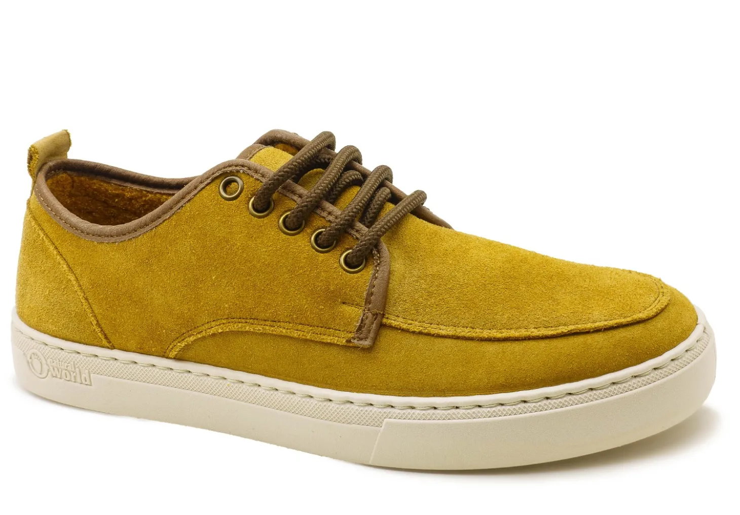Blucher