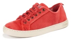 Malva
