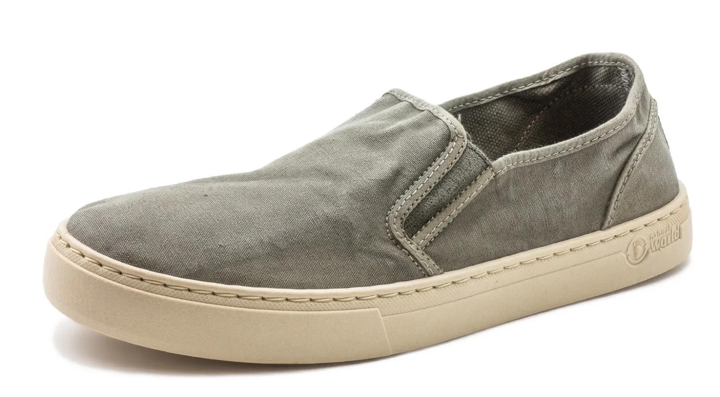 Old Gazelle