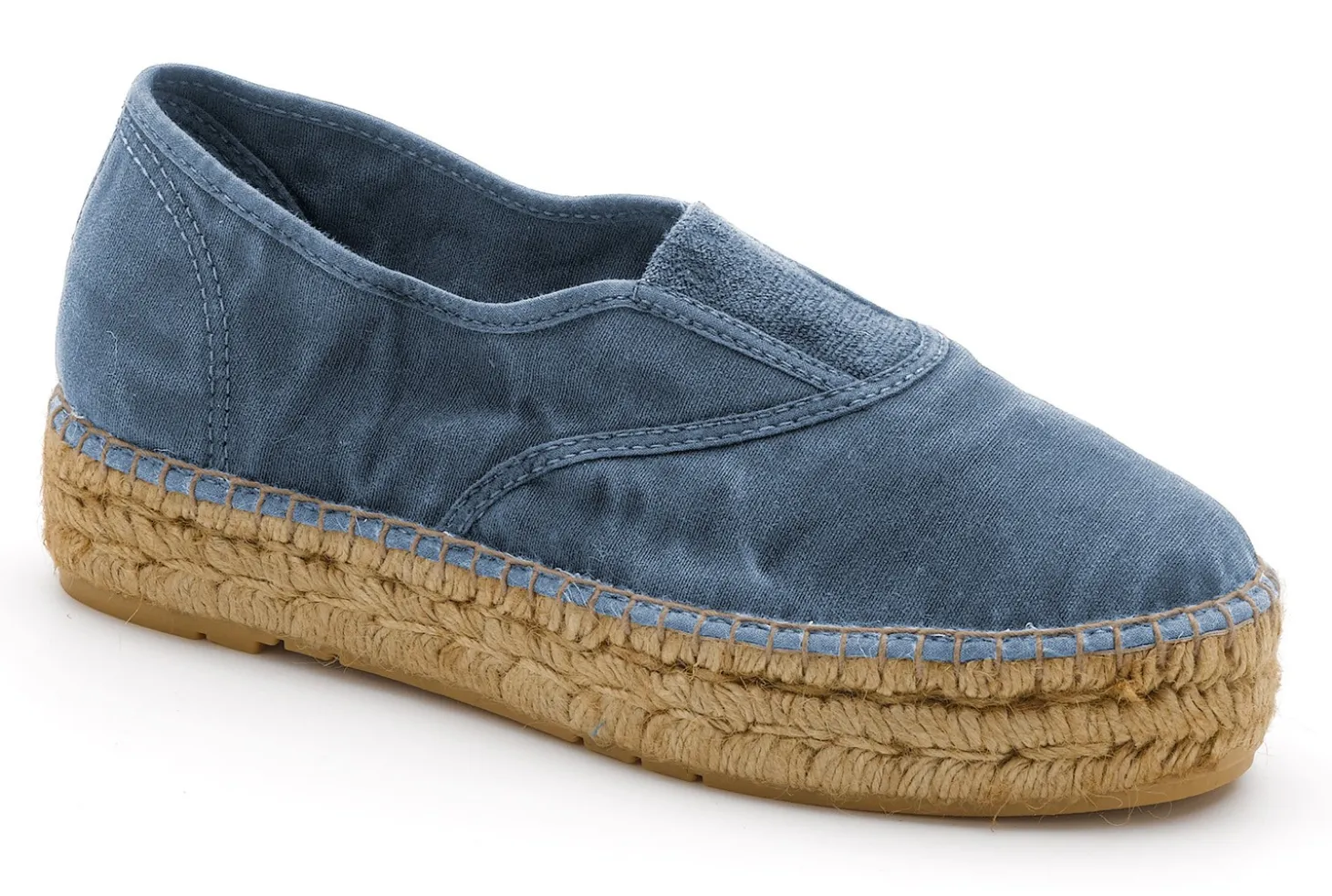 Old Zinnia