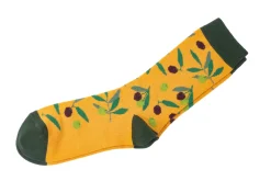 Oliva socks