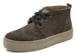 Wool